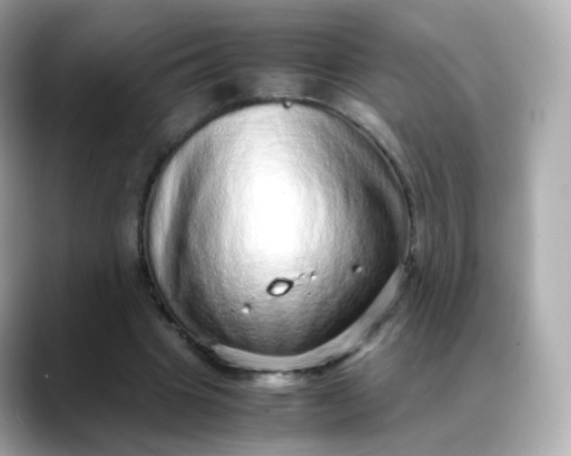 X0000088420441200706051214
