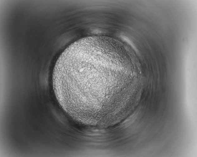X0000088420443200706051214