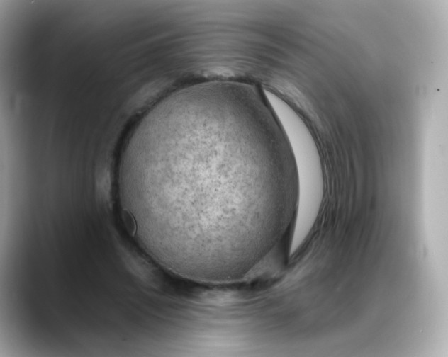 X0000088420444200706051214