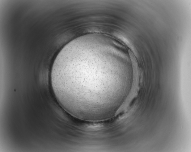 X0000088420445200706051214