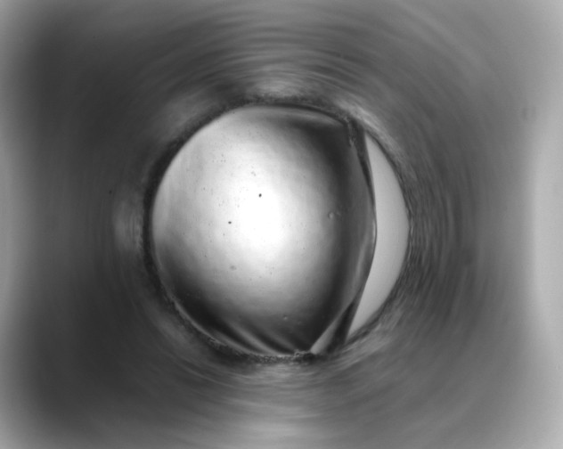 X0000088420446200706051214