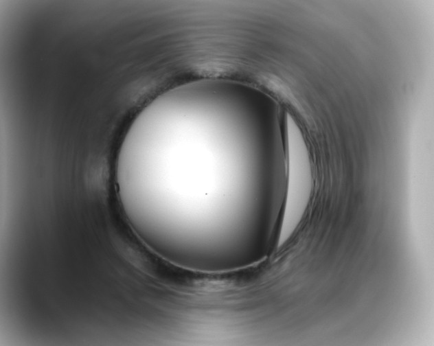 X0000088420448200706051214