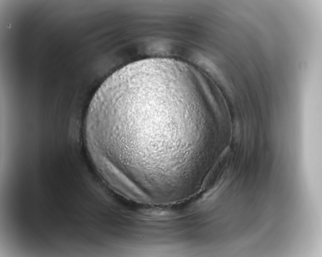 X0000088420449200706051214