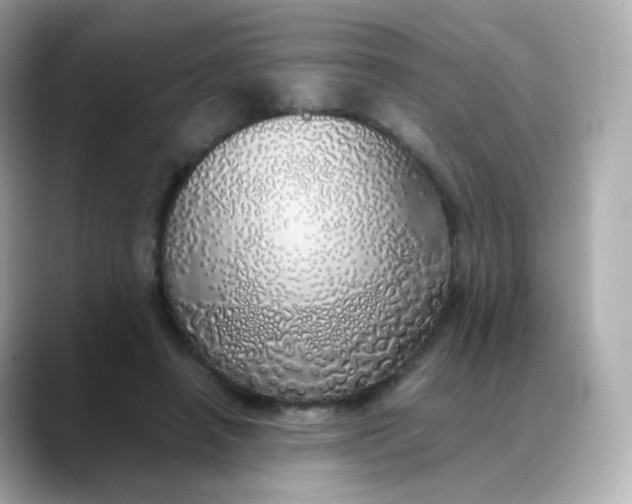 X0000088420450200706051214