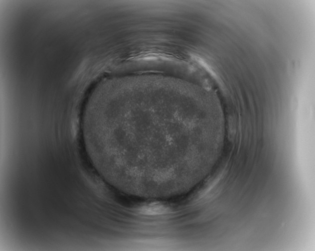 X0000088420451200706051214