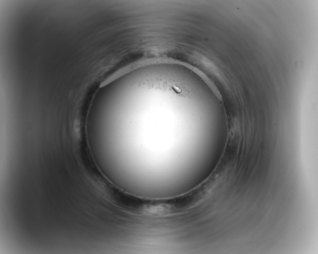 X0000088420452200706051214