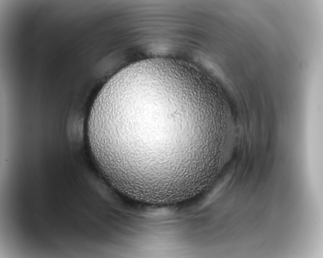 X0000088420454200706051214