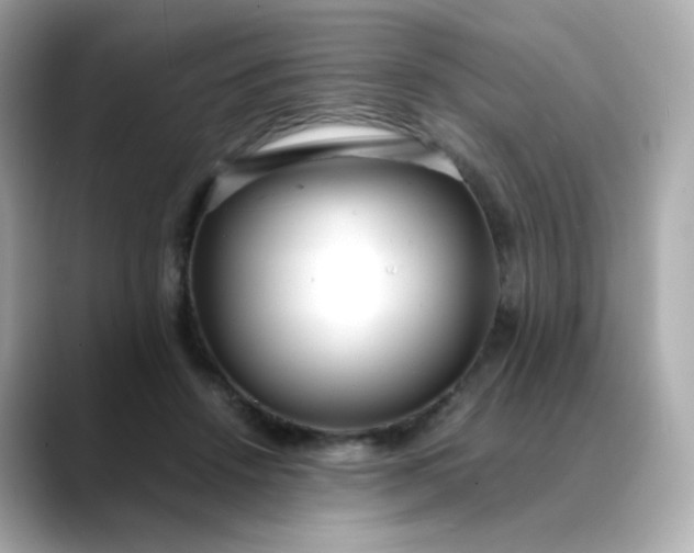 X0000088420456200706051215