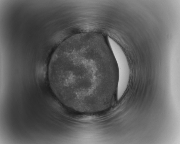X0000088420458200706051215