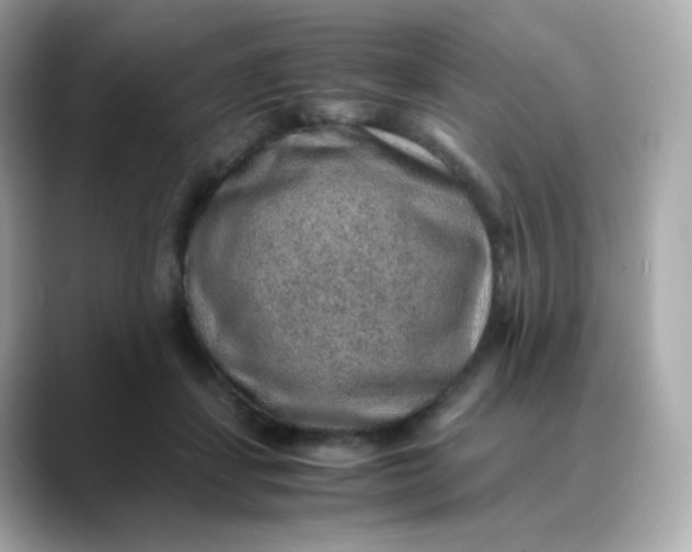 X0000088420459200706051215
