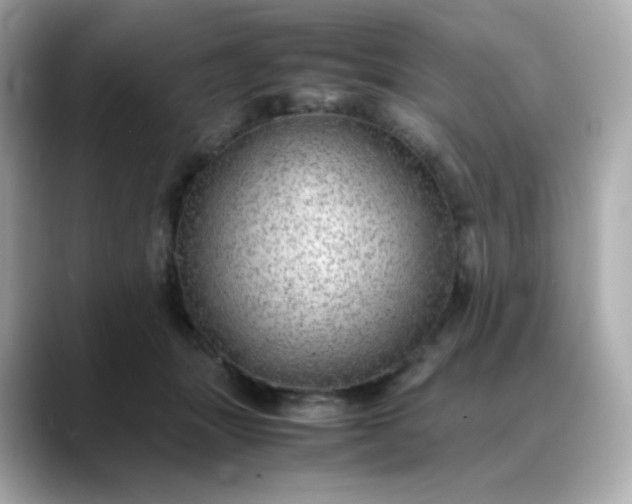 X0000088420463200706051215