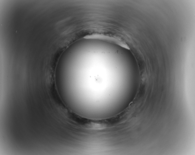 X0000088420464200706051215