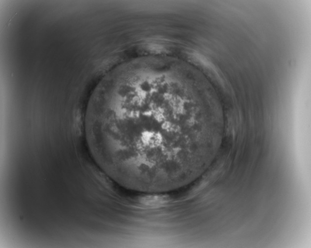 X0000088420465200706051215