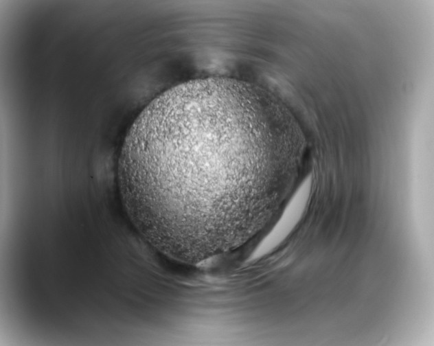 X0000088420466200706051215