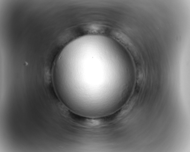 X0000088420469200706051215