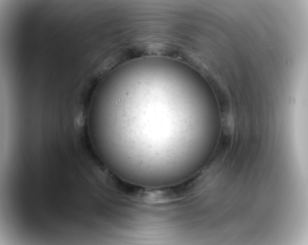 X0000088420472200706051215