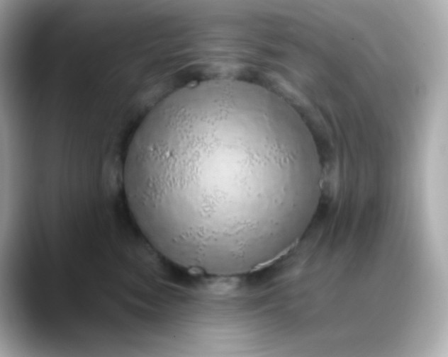X0000088420474200706051215