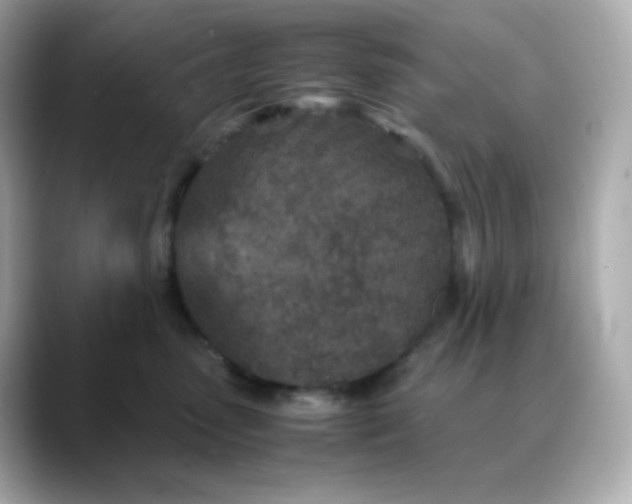 X0000088420475200706051215