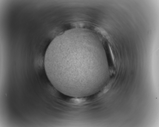 X0000088420477200706051215