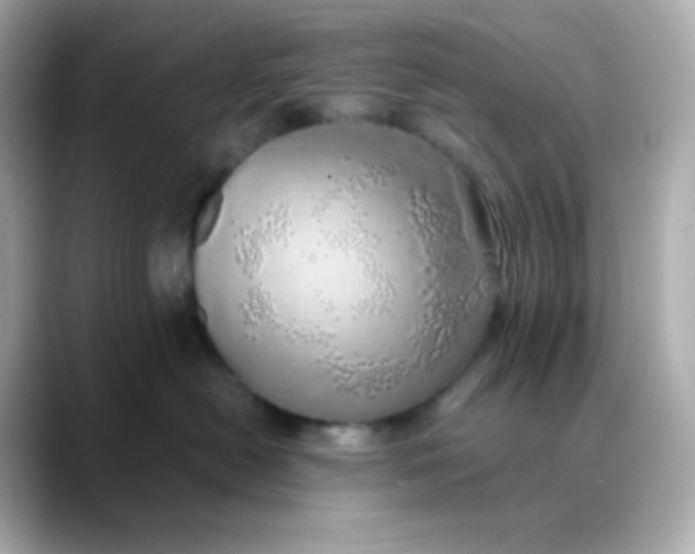 X0000088420478200706051215