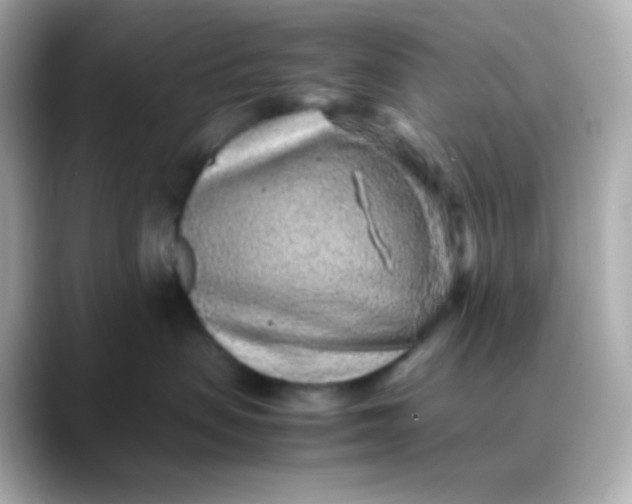 X0000088420479200706051215