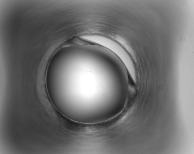 X0000088420481200706051214