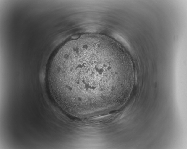 X0000088420483200706051214