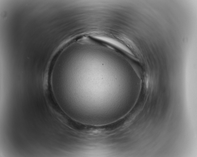 X0000088420484200706051214