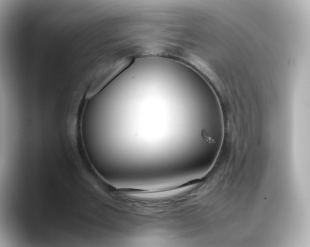 X0000088420485200706051214
