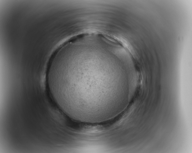 X0000088420488200706051214