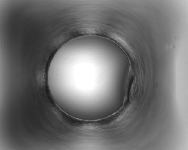 X0000088420489200706051214