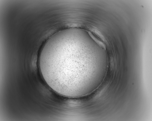 X0000088420490200706051214
