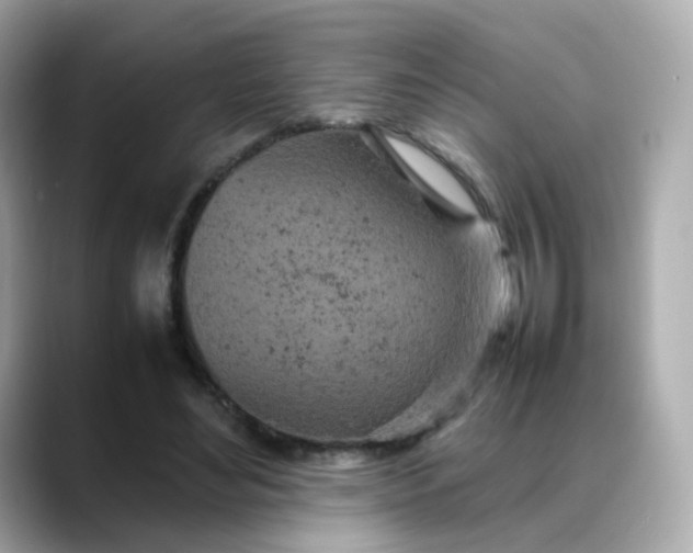 X0000088420492200706051214