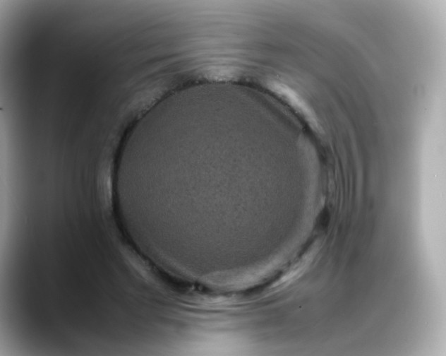 X0000088420493200706051214