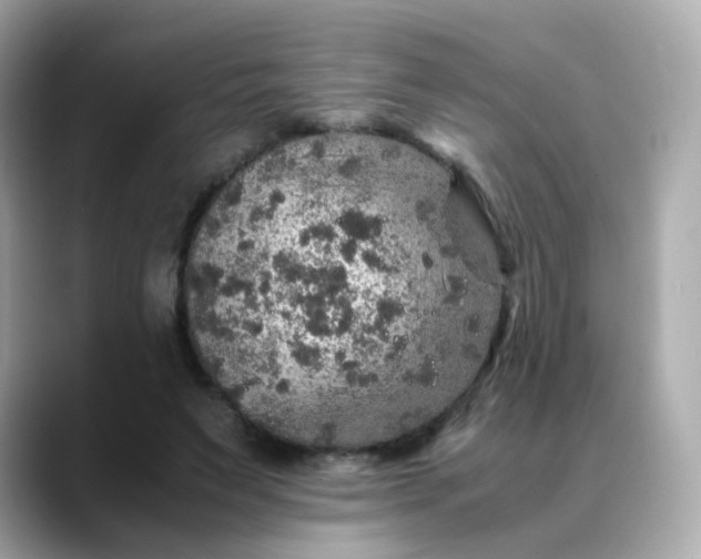 X0000088420495200706051214