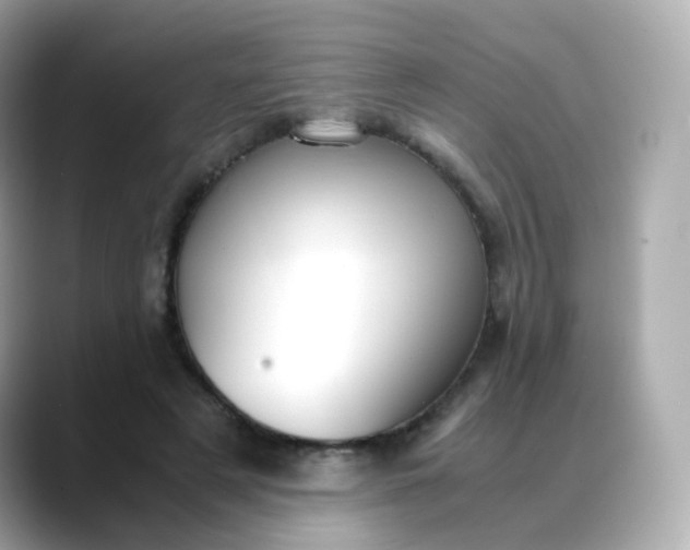X0000088420497200706051214