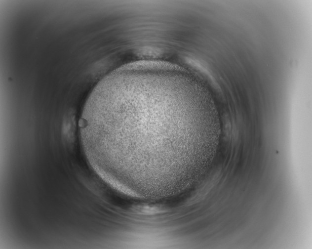 X0000088420498200706051214