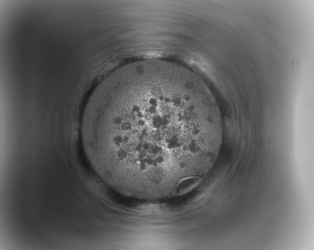 X0000088420499200706051214