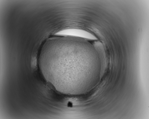 X0000088420500200706051214