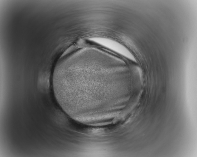 X0000088420501200706051214