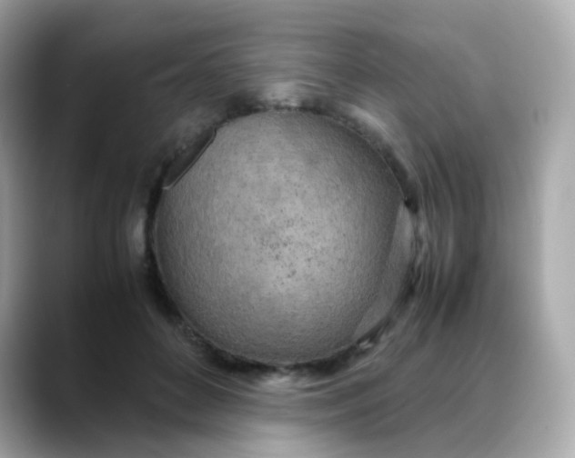 X0000088420504200706051214