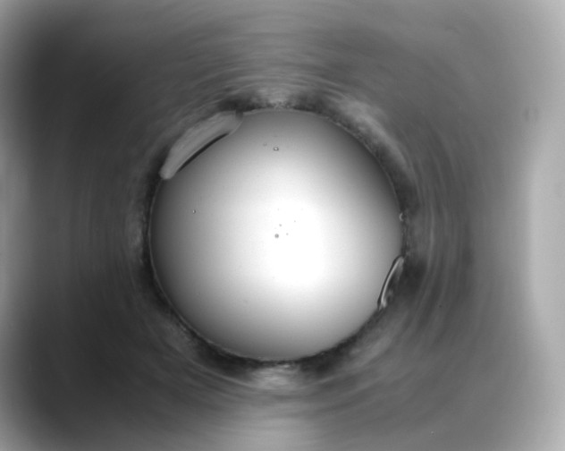 X0000088420505200706051214
