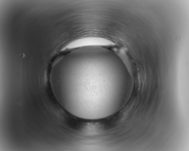 X0000088420508200706051214
