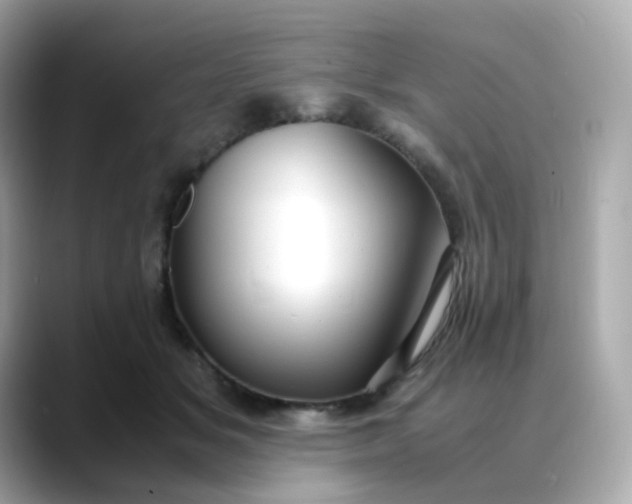 X0000088420509200706051214