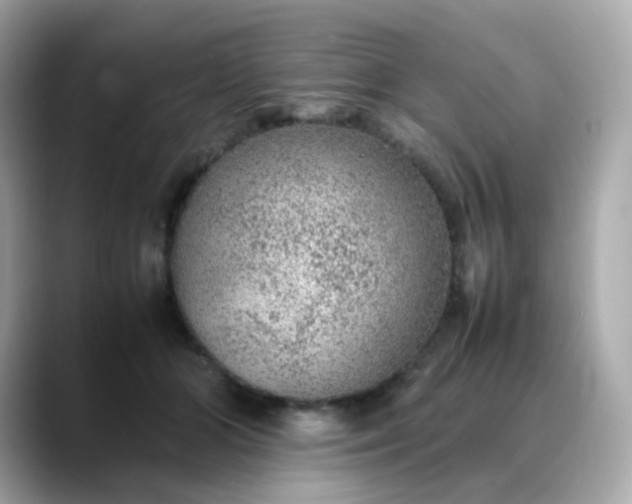 X0000088420510200706051214