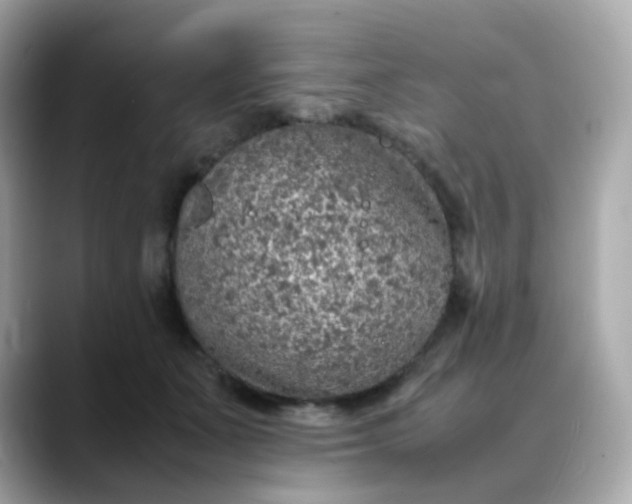 X0000088420511200706051214
