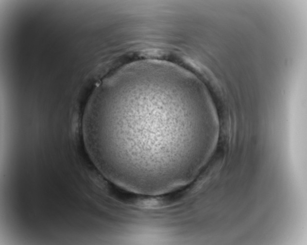 X0000088420513200706051214
