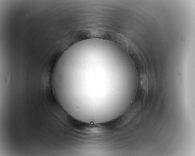 X0000088420514200706051214