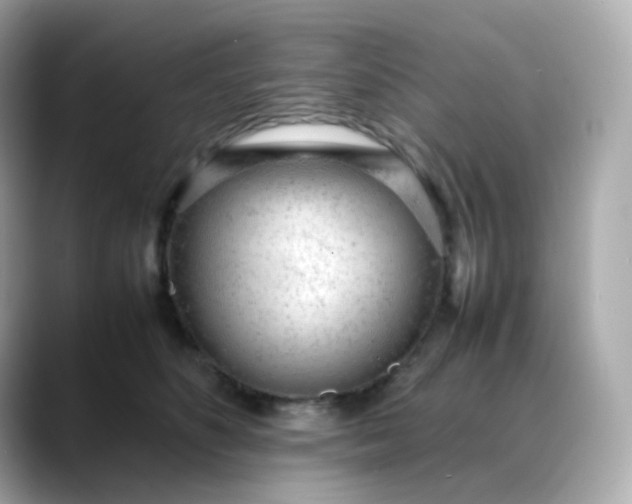 X0000088420516200706051214