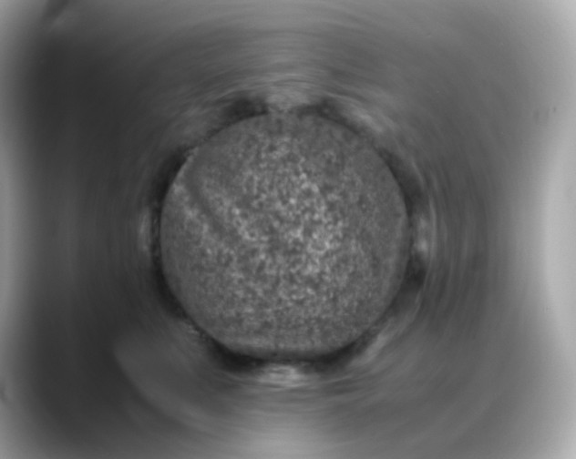 X0000088420519200706051214